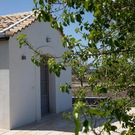 Masseria Celentano Relais & Agriturismo ซานเซเวโร ภายนอก รูปภาพ